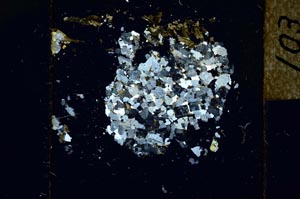 Cross Polarized, S22750