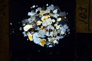 Cross Polarized, S22751