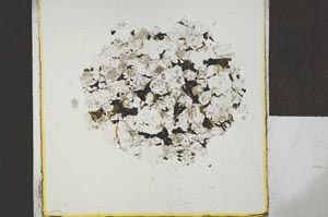 Plane Polarized, S22751