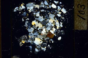 Cross Polarized, S22751/A