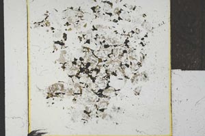 Plane Polarized, S22751/A