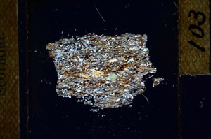 Cross Polarized, S22753