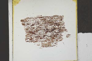 Plane Polarized, S22753