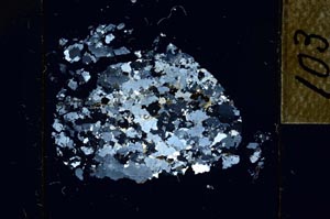 Cross Polarized, S22759