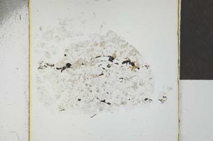 Plane Polarized, S22759