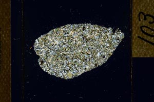 Cross Polarized, S22762