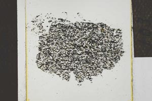 Plane Polarized, S22766