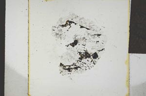 Plane Polarized, S22772