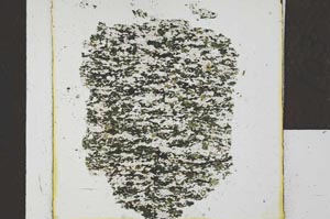 Plane Polarized, S22779