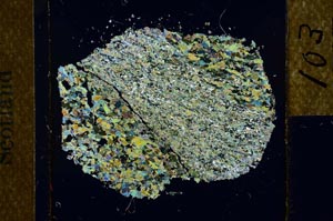 Cross Polarized, S22786