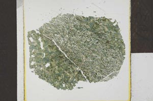 Plane Polarized, S22786