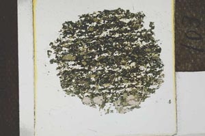 Plane Polarized, S22787