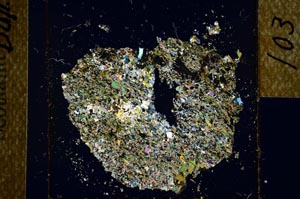 Cross Polarized, S22793/A