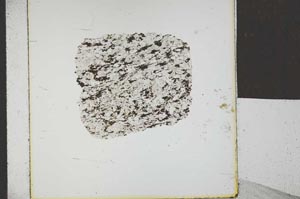 Plane Polarized, S22799