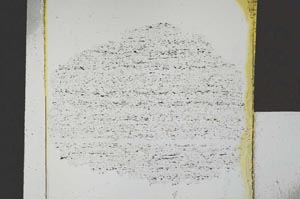 Plane Polarized, S22806