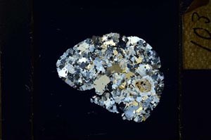 Cross Polarized, S22811