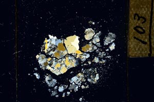 Cross Polarized, S22811/A