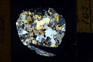 Cross Polarized, S22812