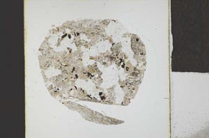 Plane Polarized, S22812