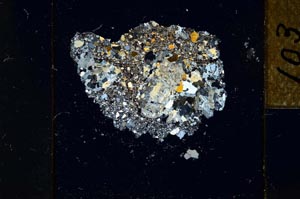 Cross Polarized, S22813