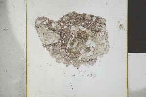 Plane Polarized, S22813