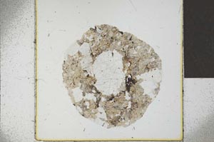 Plane Polarized, S22814