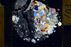 Cross Polarized, S22815