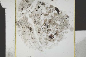 Plane Polarized, S22815