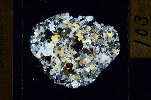 Cross Polarized, S22816