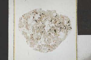 Plane Polarized, S22816