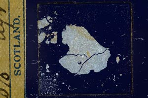 Cross Polarized, S22897