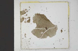 Plane Polarized, S22897