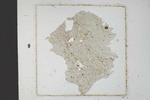 Plane Polarized, S22898