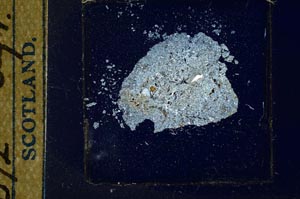 Cross Polarized, S22899