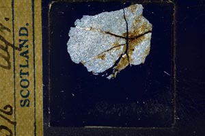 Cross Polarized, S22902