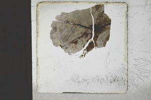 Plane Polarized, S22902