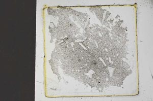 Plane Polarized, S22904