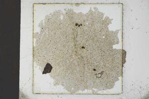 Plane Polarized, S22909
