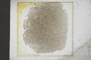 Plane Polarized, S22912