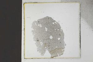 Plane Polarized, S22914
