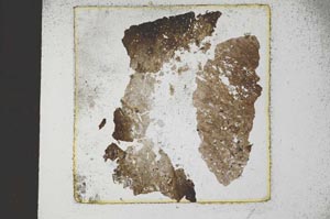Plane Polarized, S22920