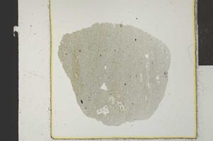 Plane Polarized, S22923