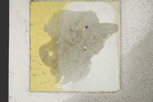 Plane Polarized, S22923/A
