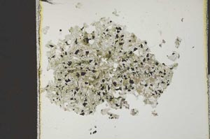 Plane Polarized, S22931