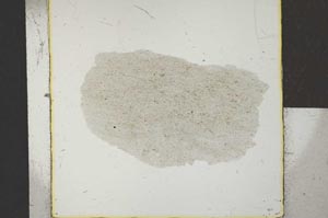 Plane Polarized, S22933