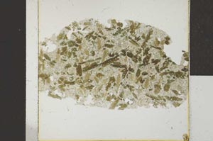 Plane Polarized, S22934