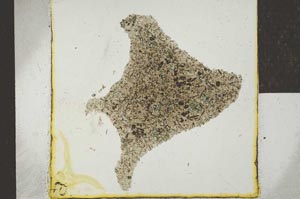 Plane Polarized, S22937