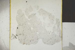 Plane Polarized, S22939