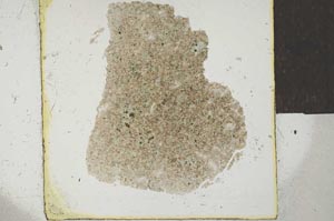 Plane Polarized, S22943