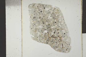 Plane Polarized, S22944